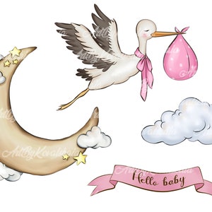 Stork Clipart, Stork PNG, Baby Shower Girl, Hello Baby, Digital Download