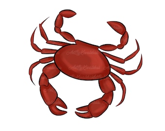 Crab PNG, Crab Clipart, Digital Download