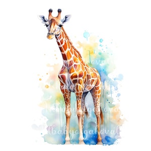 Aquarell Giraffe Clipart, Giraffe PNG, digitaler Download