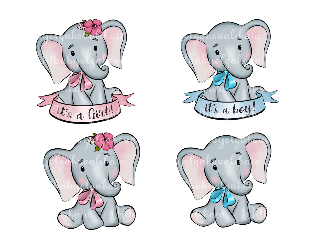 Elephant Clipart, PNG, Baby Shower, Gender Reveal, Digital Download - Etsy