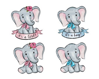 Elephant Clipart, PNG, Baby Shower, Gender Reveal, Digital Download