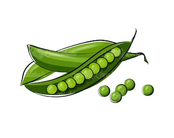 Green Peas Clipart: Vegetable PNG Image (Digital Download)