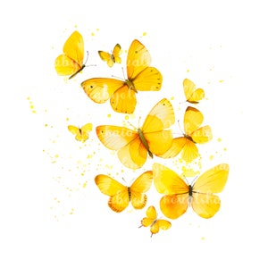 Clipart de borboleta, borboletas em aquarela PNG, download digital