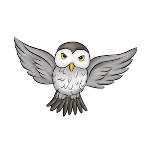 Owl Clipart, Owl PNG, Digital Download