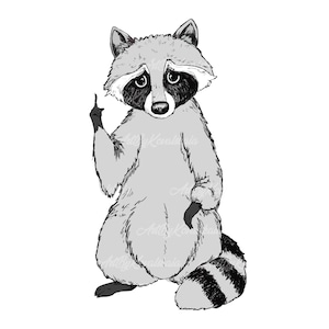 Raccoon Clipart, Raccoon PNG, Digital Download