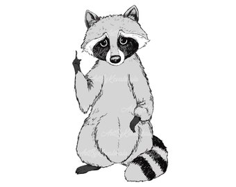 Raccoon Clipart, Raccoon PNG, Digital Download