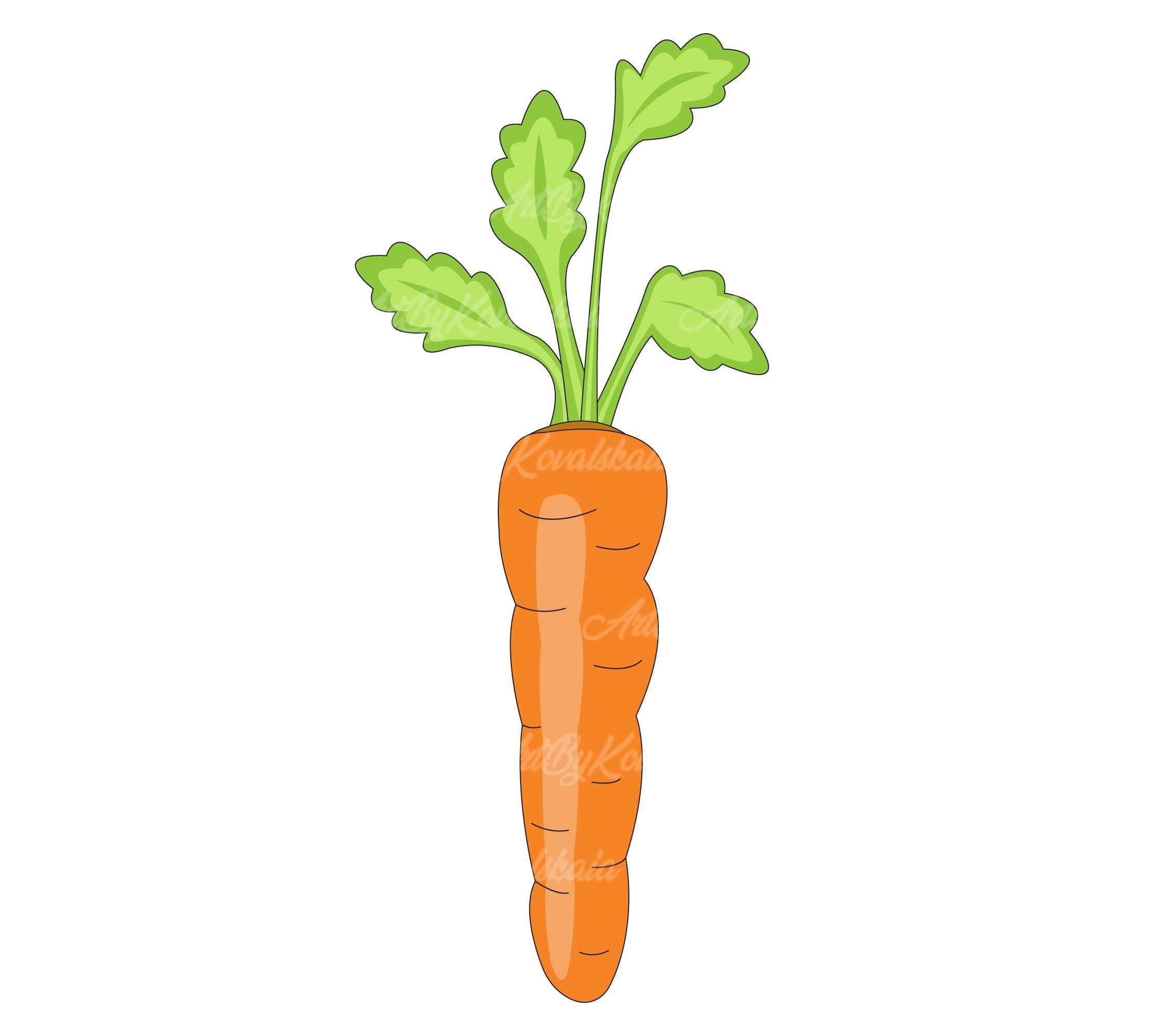 Carrot Clipart, Carrot SVG, Digital Download - Etsy