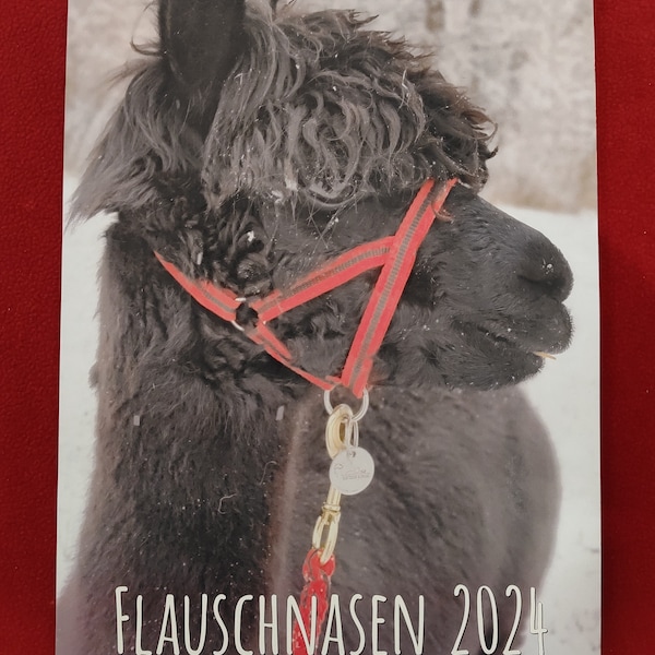 REDUZIERT - Alpaka Kalender 2024, DIN A 4, Monatskalender, Flauschnasen, Wandkalender