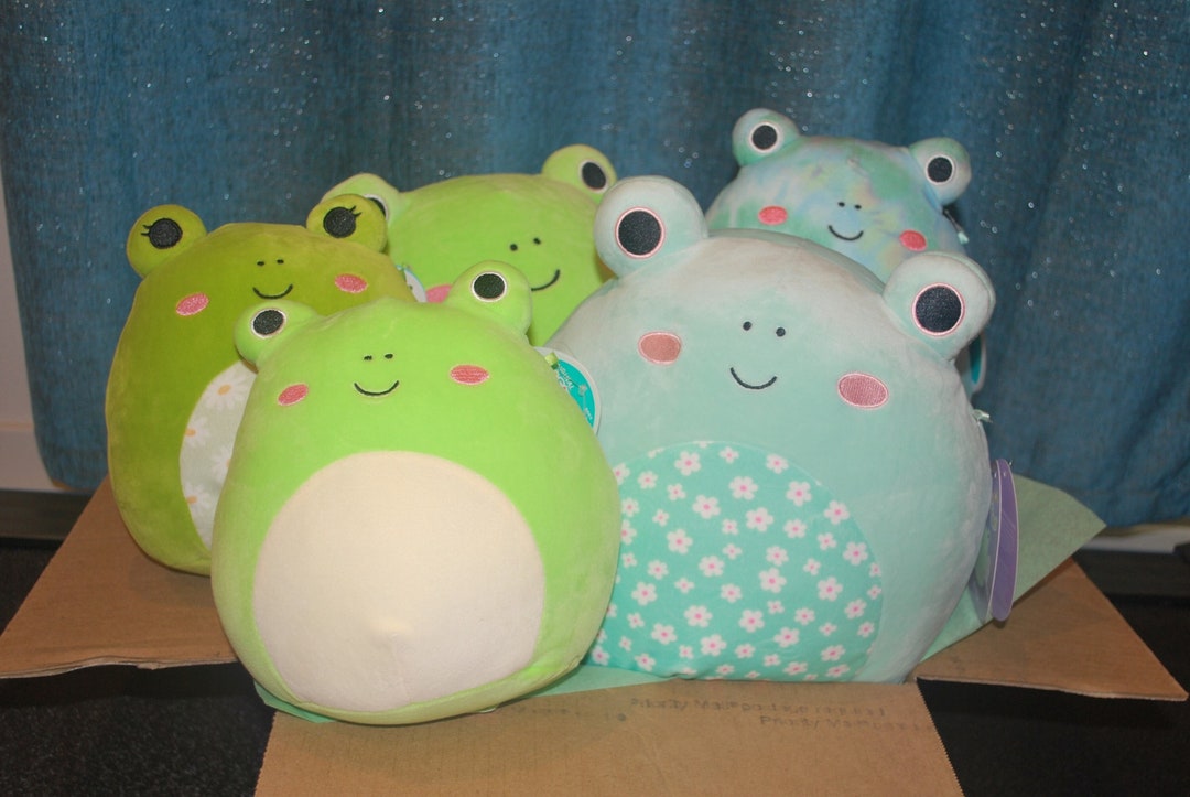 Squishmallow Frog Mystery Box Gift and Goodies Bundle Squishmallow Pack ...