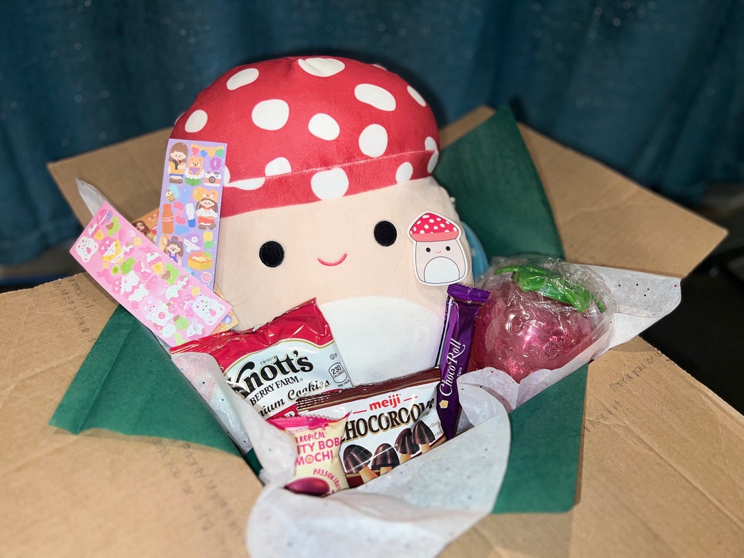 Squishmallow Mushroom Mystery Box Gift and Goodies Bundle Squishmallow ...