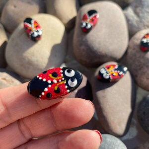 May include: Hand-painted ladybug rocks with red, black, white, and yellow details. The ladybugs are on a bed of smooth, gray stones. The ladybugs are oval-shaped and have a glossy finish. The rocks are a unique, handmade craft.