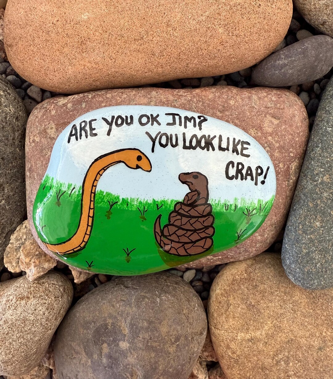 Get Well Rock. Humorous Rock, You Look Like Crap - Stone by Val - Etsy