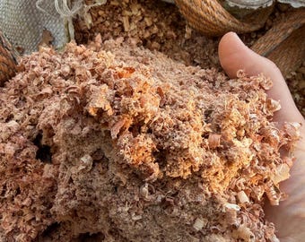 serrín virutas de madera