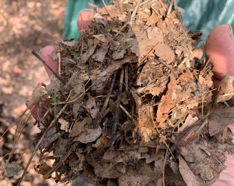 Laubmulch 10l