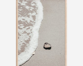 Lonely Shell on a beach | Ocean | Sea Shells | Sand | Coastal | Instant | Digital Print