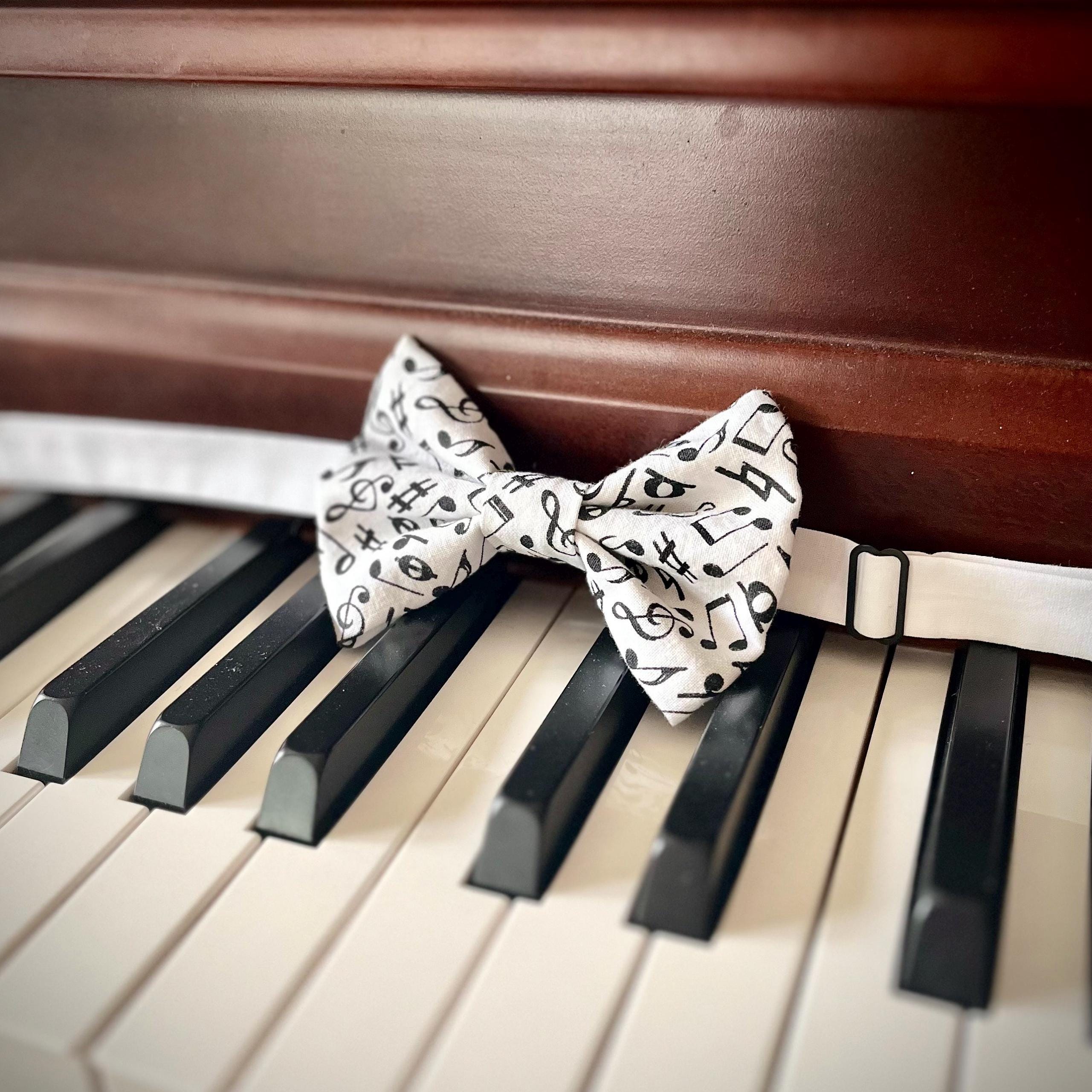 Music Tie for Boys, Music Notes Bowtie, Necktie for Music Recital ...