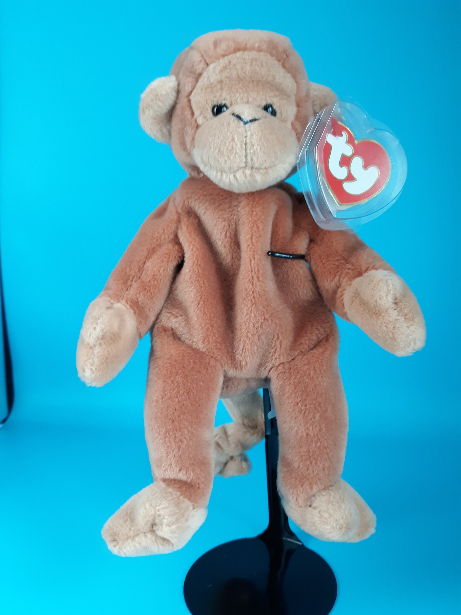 Beanie Baby Bongo Rare Etsy