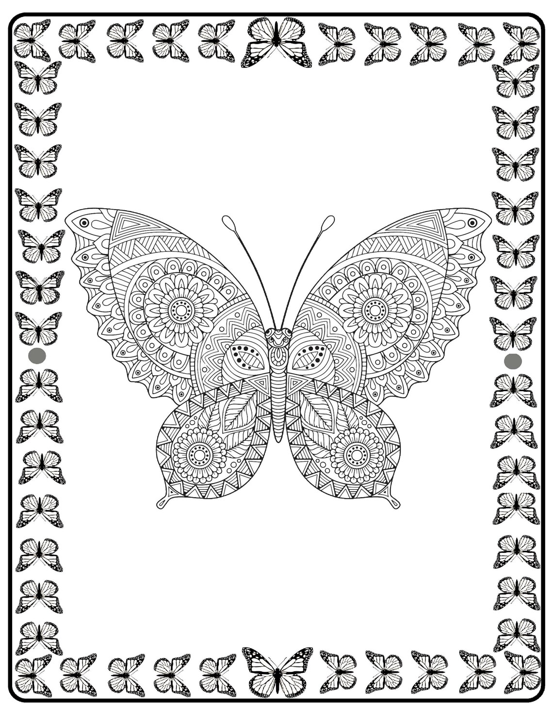 44 Butterfly Printable Coloring Pages- Butterfly Coloring- Digital ...