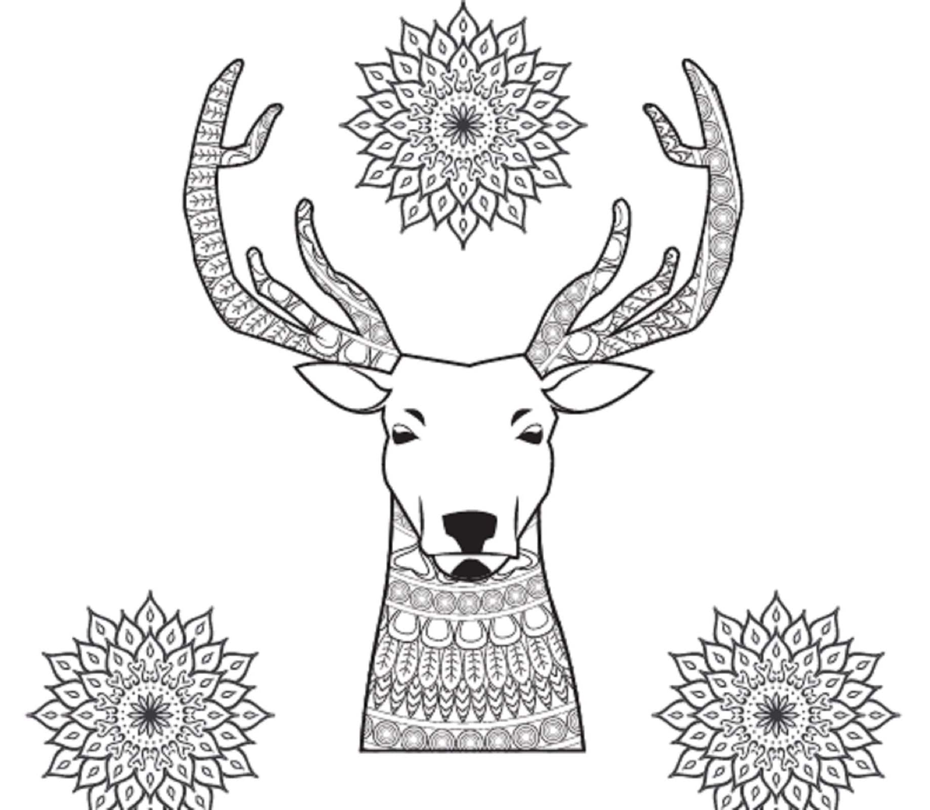 46 Animal Printable Coloring Pages-animal Coloring Digital Download