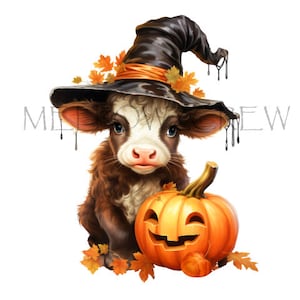 Highland Kuh PNG | Kuh Png, Highland Kuh mit Kürbissen Sublimation Design, Highland Kuh, Waterslide PNG, Herbst Highland Kuh Sublimation Design