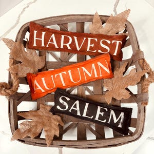 Cinnamon Scented Fall Bowl Fillers: Primitive Rustic Mini Pillows
