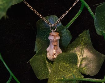 May include: A silver necklace with a glass vial pendant. The vial contains a light-coloured substance and is sealed with a cork. The necklace is set against a backdrop of green leaves.