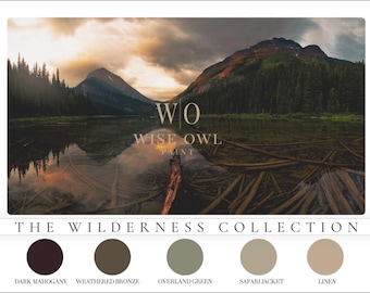 Wise Owl 'Wilderness Collection' One Hour Enamel Paint