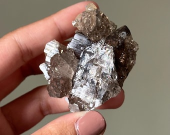 ¡Ejemplar único de cristal de racimo elestial de cuarzo ahumado luminoso!