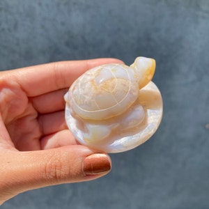 Gorgeous Flower Agate Turtle Carving !