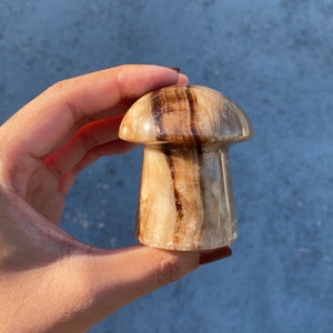 Schöne Schokoladen Calcit Pilz Schnitzerei!