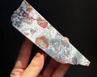 Half Polished Mexican Lace Agate Slice Freeform