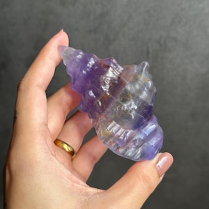 May include: A purple and iridescent crystal carved into the shape of a seashell. The crystal is translucent and has a smooth, polished surface.