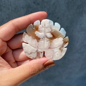 Gorgeous Green Flower Agate Monstera Leaf Carving!