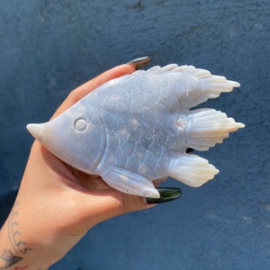 Gorgeous Unique Agate Fish Carving! Self Standing