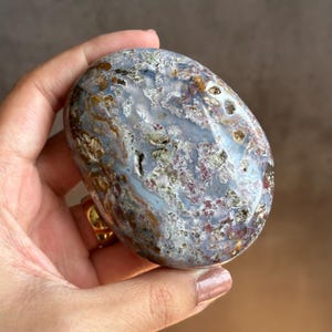 Sea Jasper Palm Stone - Beautiful Colors !