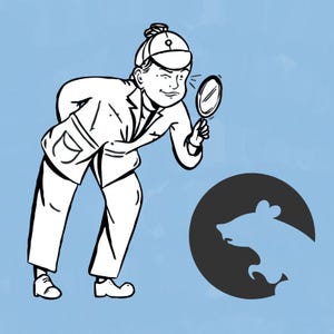 Rodent Detective: Your Ultimate DIY Rodent Control Digital Download