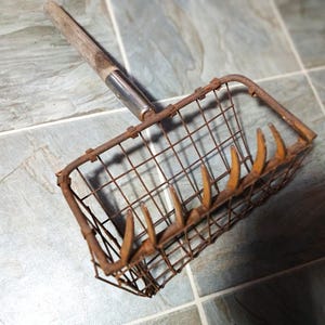 May include: An antique, rusty metal berry picker with a wooden handle. The basket-like head features a grid design with curved tines. The handle is attached with a metal sleeve. The tool is designed for harvesting berries.