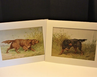 Olivier de Penne 1800s Hunting Dog Signed Lithographs Irish Setter n Gordon Setter FREE SHIPPING- PAIR of C Olivier de Penne 1800s Hunting Dog Signed Lithographs Irish Setter n Gordon Setter FREE SHIPPING- PAIR of C