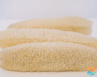 All-Natural Loofah Sponges: Bath, Kitchen, and More! (Eco-Friendly & Zero Waste) | 10cm - 30cm