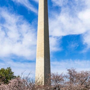 Monumento a Washington 3