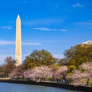 Washington Monument 2