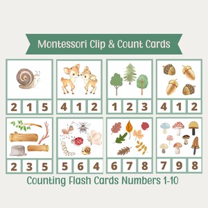 Montessori Clip & Count Cards | Printable Flash Cards | Montessori Counting | Homeschool Resources