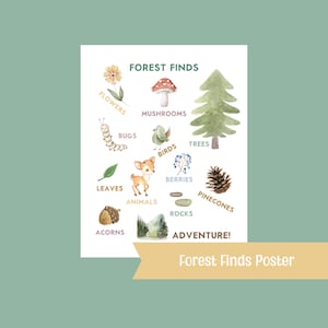 Cartel de hallazgos de bosque / Impresión de la naturaleza del vivero del bosque / Decoración de la habitación para niños Cartel de setas