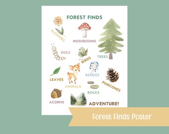 Forest Finds Poster | Woodland Nursery Nature Print | Kids room decor Mushroom Poster