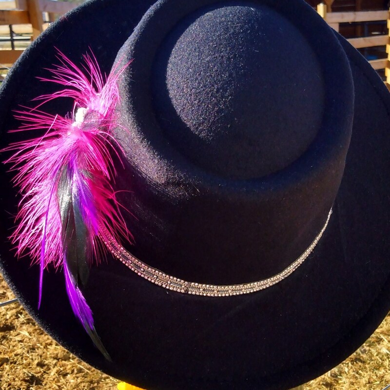 Banded Large Brim Fedora