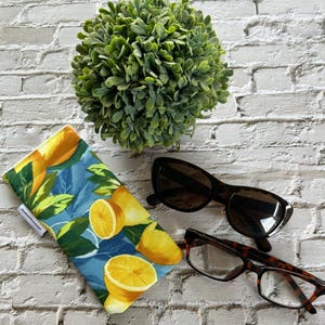 Glasses case, Padded Sunglasses/ Glasses case- Lemon citrus/Mediterranean