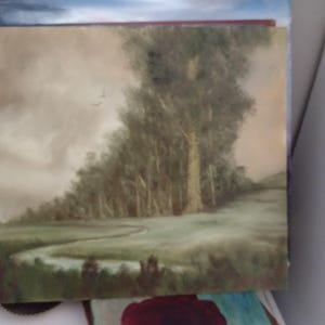 K&ouml;nnte beinhalten: Ein &Ouml;lgem&auml;lde, das eine ruhige Landschaft darstellt. Das Kunstwerk zeigt einen sich schl&auml;ngelnden Fluss, der durch ein gr&uuml;nes Feld flie&szlig;t, mit einem Wald im Hintergrund unter einem bew&ouml;lkten Himmel. Die Farbpalette ist ged&auml;mpft mit Erdt&ouml;nen.