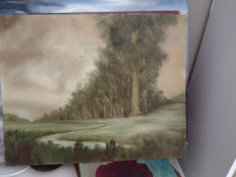 K&ouml;nnte beinhalten: Ein &Ouml;lgem&auml;lde, das eine ruhige Landschaft darstellt. Das Kunstwerk zeigt einen sich schl&auml;ngelnden Fluss, der durch ein gr&uuml;nes Feld flie&szlig;t, mit einem Wald im Hintergrund unter einem bew&ouml;lkten Himmel. Die Farbpalette ist ged&auml;mpft mit Erdt&ouml;nen.