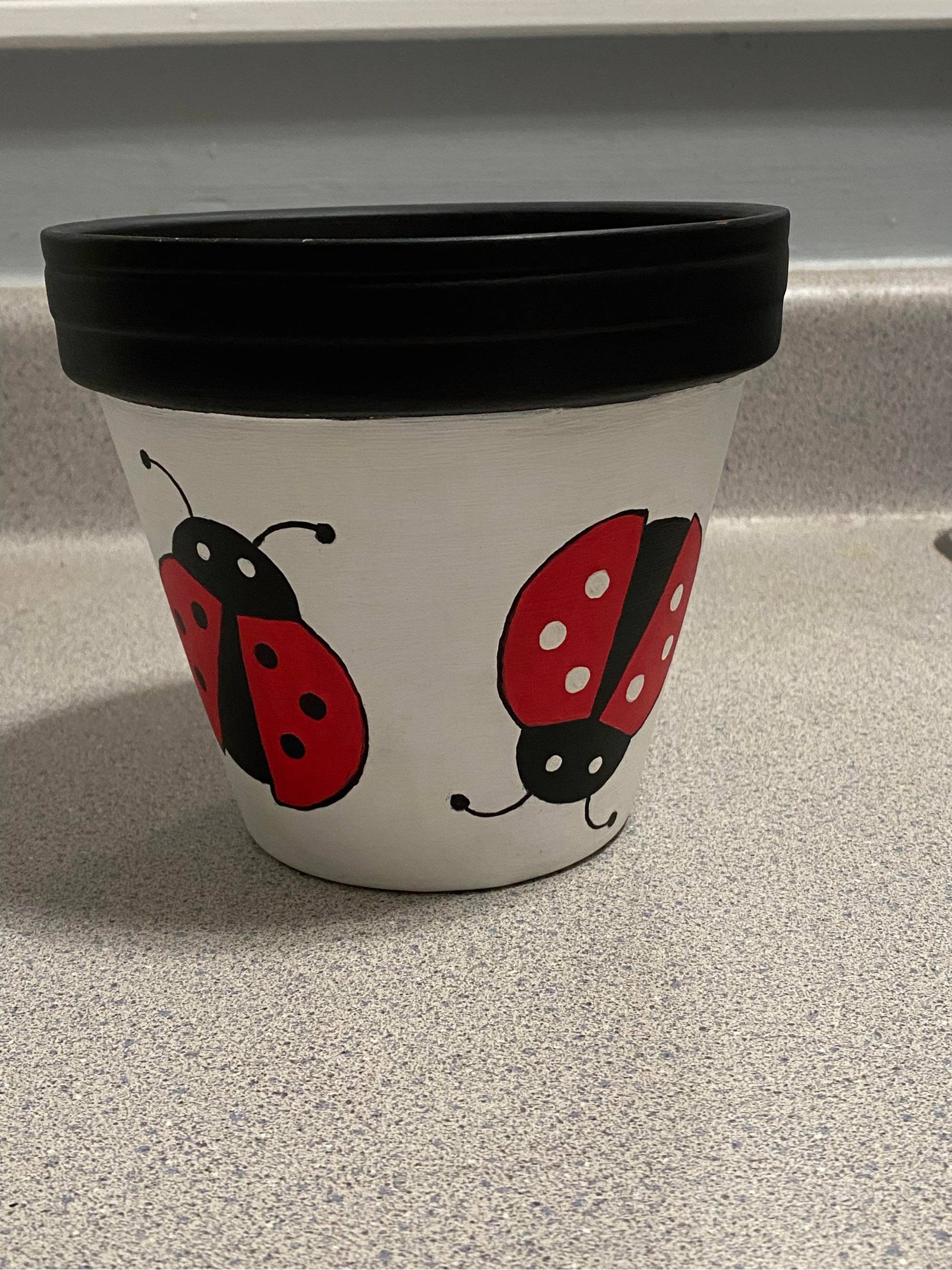 8 Inch Ladybugs Hand Painted Terra Cotta Clay Succulent Flower Planter ...