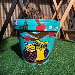 Love bird OWLS hand painted terra cotta clay succulent flower planter pot